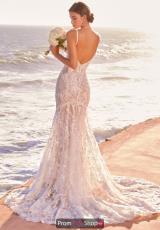 Ivory/Nude