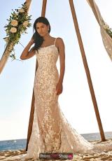 Ivory/Nude