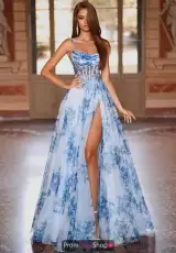 Blue/White