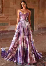Purple/Multi
