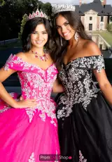 Fuchsia/Silver and Black/Silver