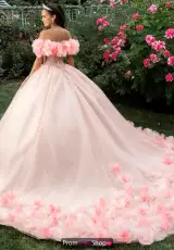 Blush/Champagne