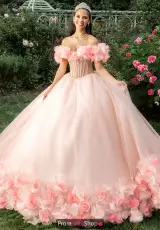 Blush/Champagne
