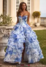 Ivory/Blue Print