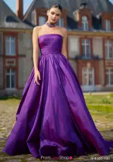 Purple/Lilac