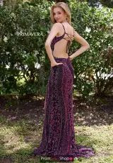 Black Fuchsia