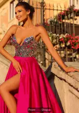 Fuchsia