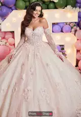 Blush/Champagne