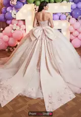 Blush/Champagne