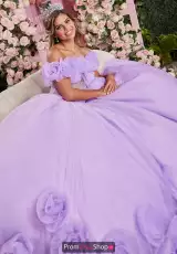 Pansy Purple