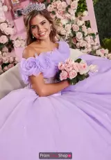 Pansy Purple