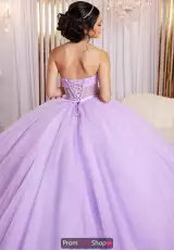Pansy Purple