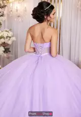 Pansy Purple