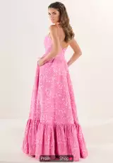 Blooming Pink