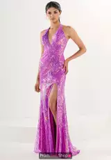 Wild Orchid
