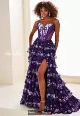 Dark Purple/Multi
