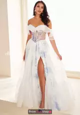 Ivory/Blue