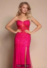Fuchsia