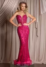 Fuchsia