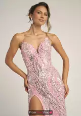 Pink/Silver
