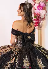 Black/Gold