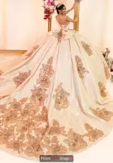 Champagne/Rose Gold