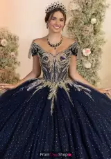 Navy/Gold