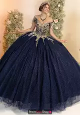 Navy/Gold