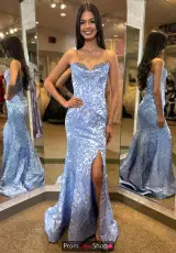 Periwinkle Print
