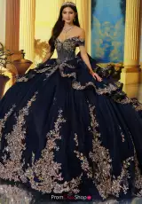 Navy Blue/Antique Gold