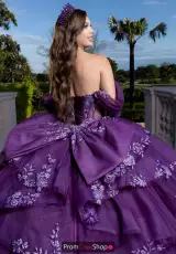 Eggplant/Light Purple