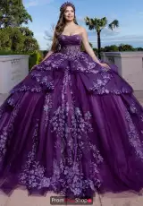 Eggplant/Light Purple