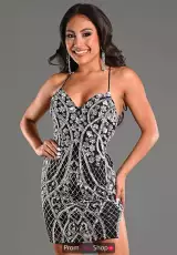 Black/Silver