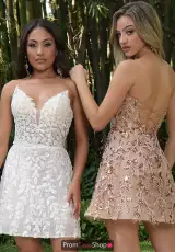 White and Gold