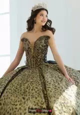 Black/Gold