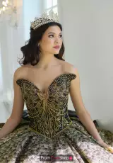 Black/Gold