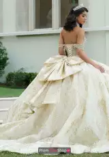 Champagne/Gold