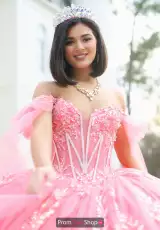 Sorbet