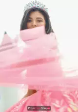 Sorbet