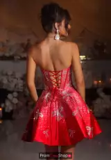 Red/Silver