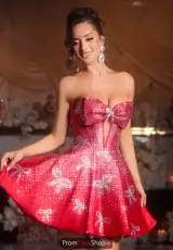 Red/Silver