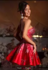 Red/Silver