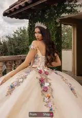 Champagne Multi