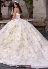 Ivory Champagne