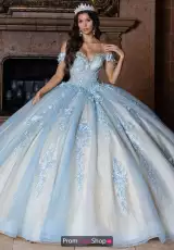 Powder Blue Champagne