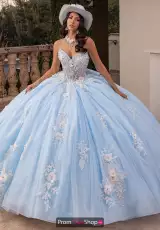 Powder Blue White