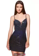 Black/Blue
