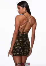 Black/Gold