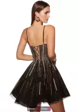 Black/Silver