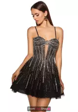 Black/Silver